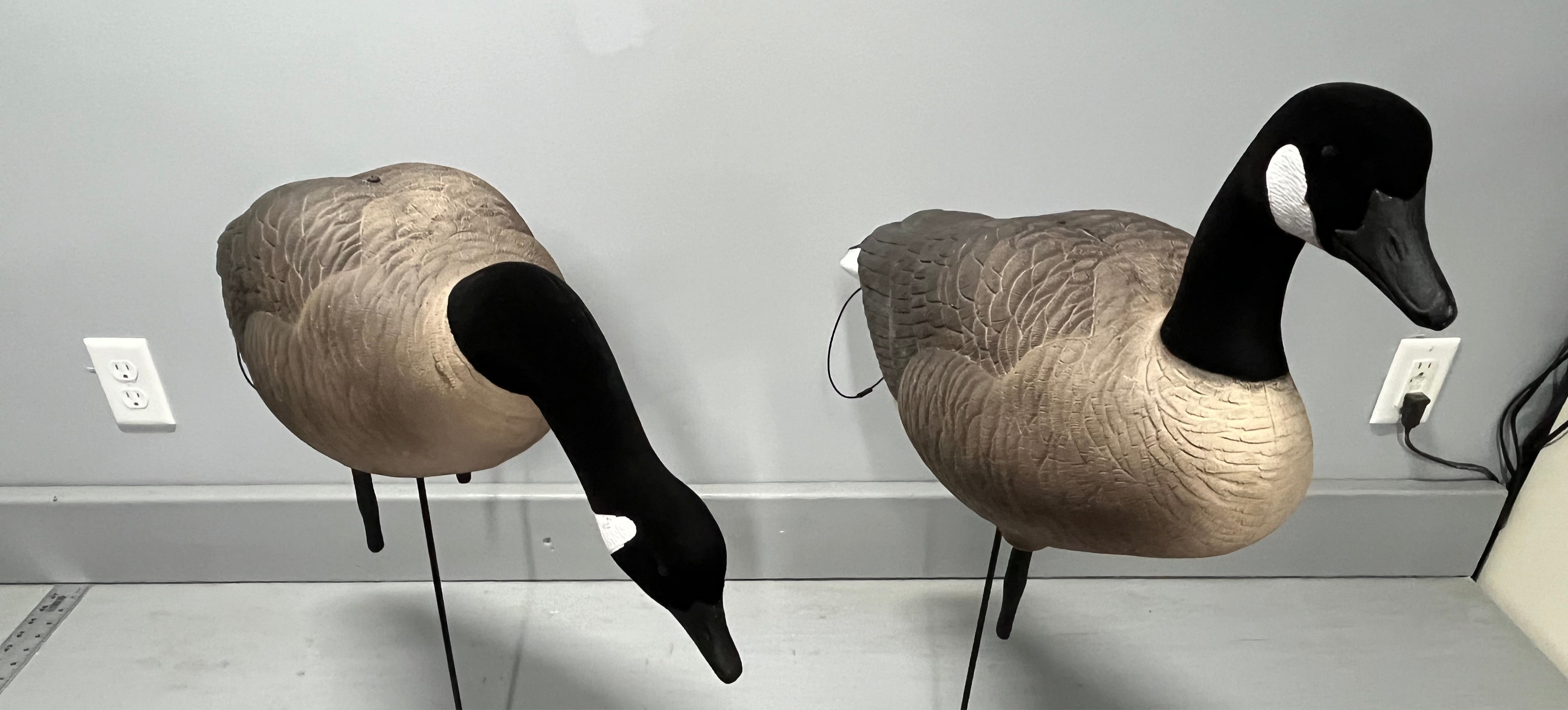 “PRE-ORDER SALE” Full Body "Magnum" Canada Goose Decoys "PE Plastic" with Flocked Heads. - "Per 6-Pack"