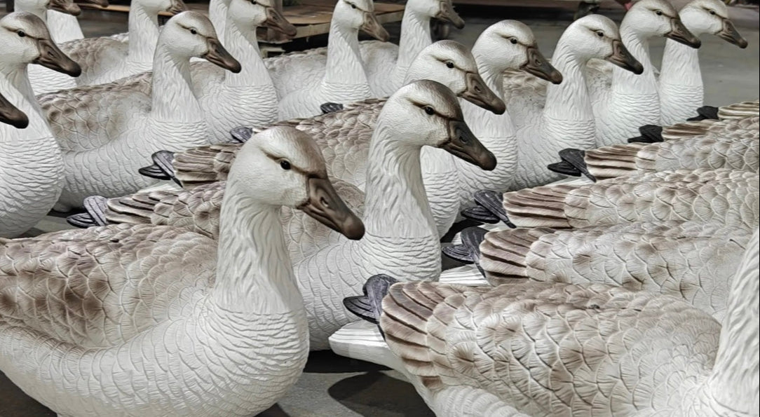 In Stock and Ready to Ship!