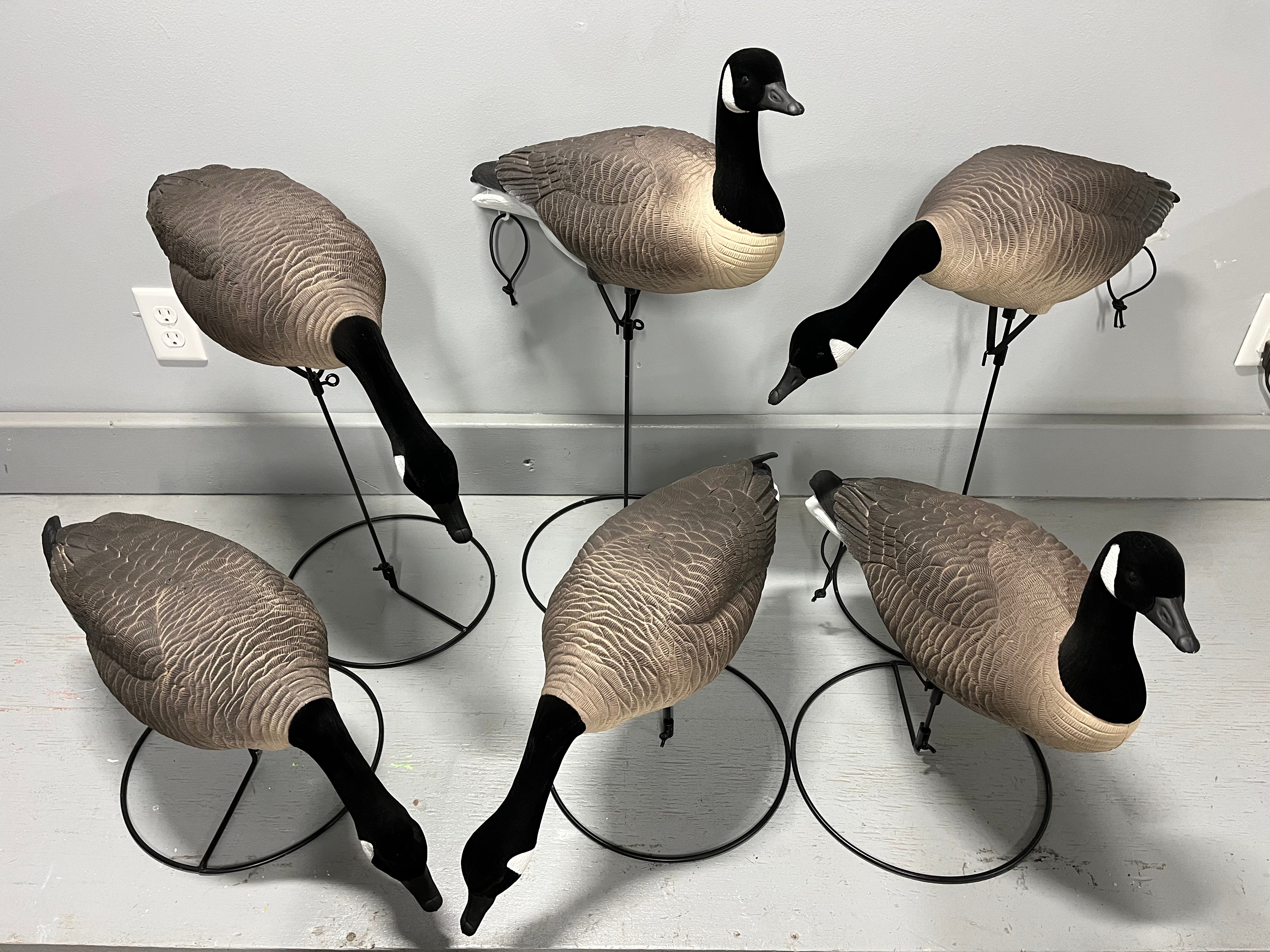 Full Body Canada Goose Decoys "PE PLASTIC" with Ring Bases "Per 6Pa