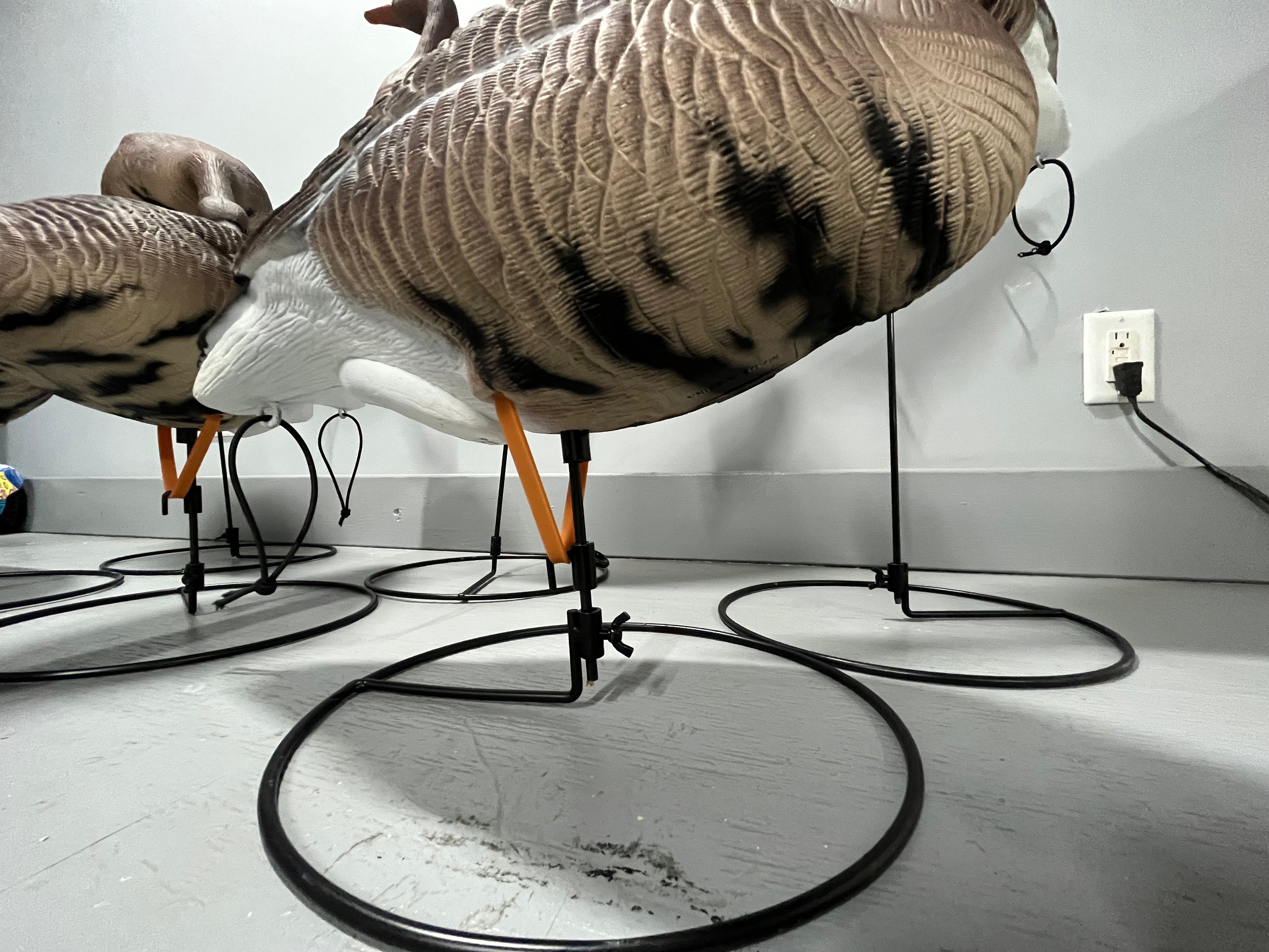 Full Body Specklebelly Goose Decoys "PE PLASTIC" with Ring Bases "Pe