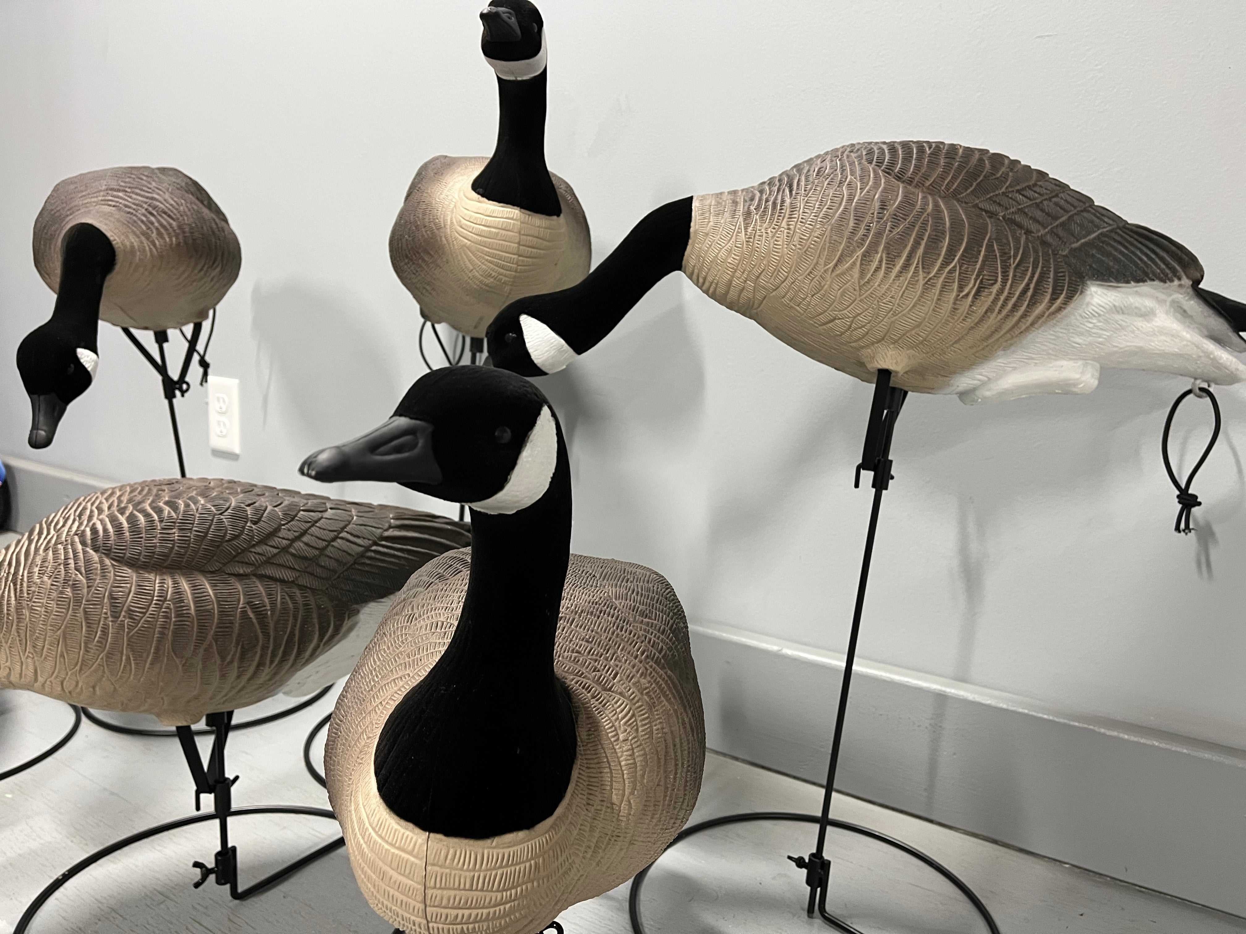 Full Body Canada Goose Decoys "PE PLASTIC" with Ring Bases "Per 6Pa