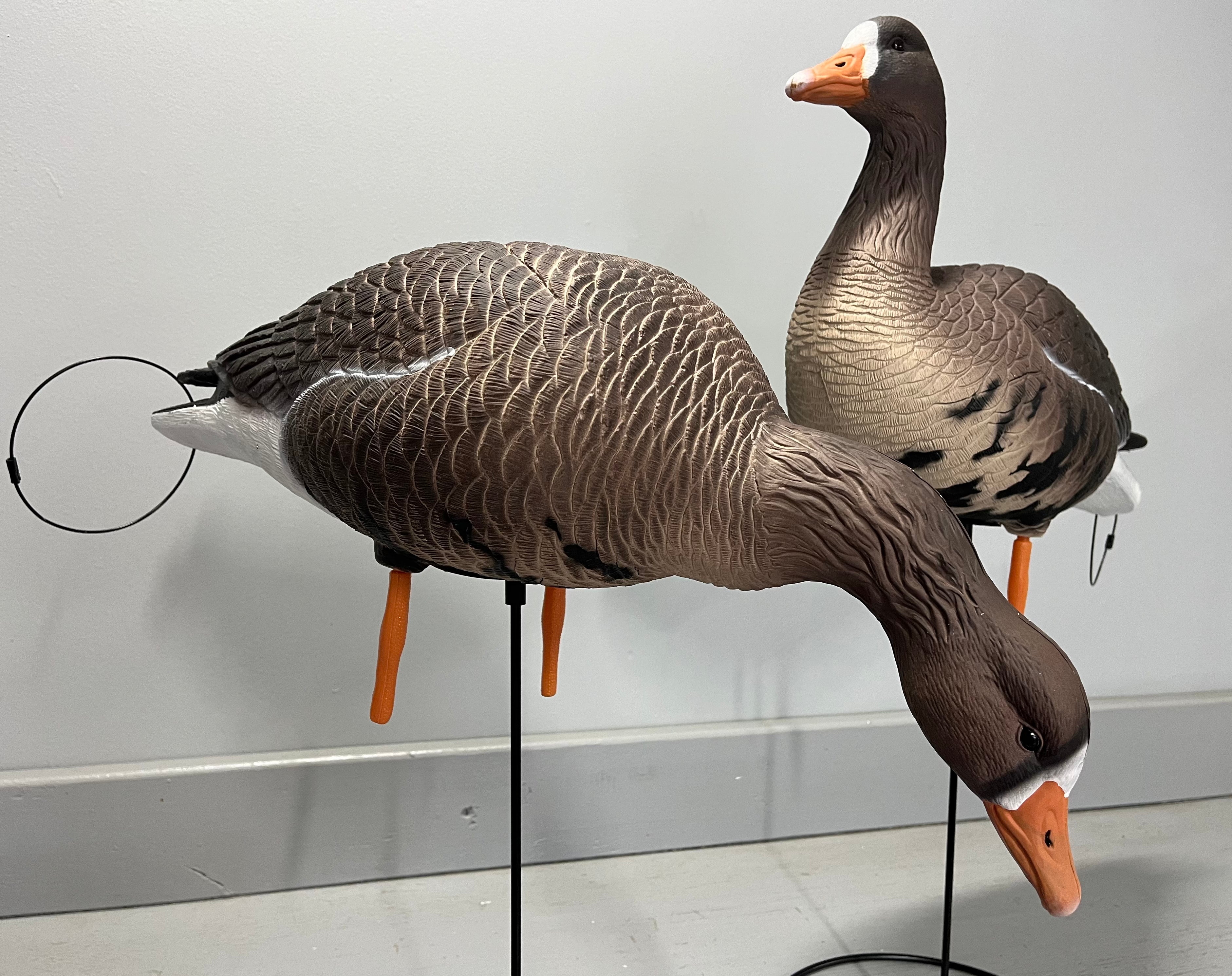 “PRE-ORDER SALE” Full Body Specklebelly Goose Decoys "PE Plastic" (hard body) “Per 6-Pack"