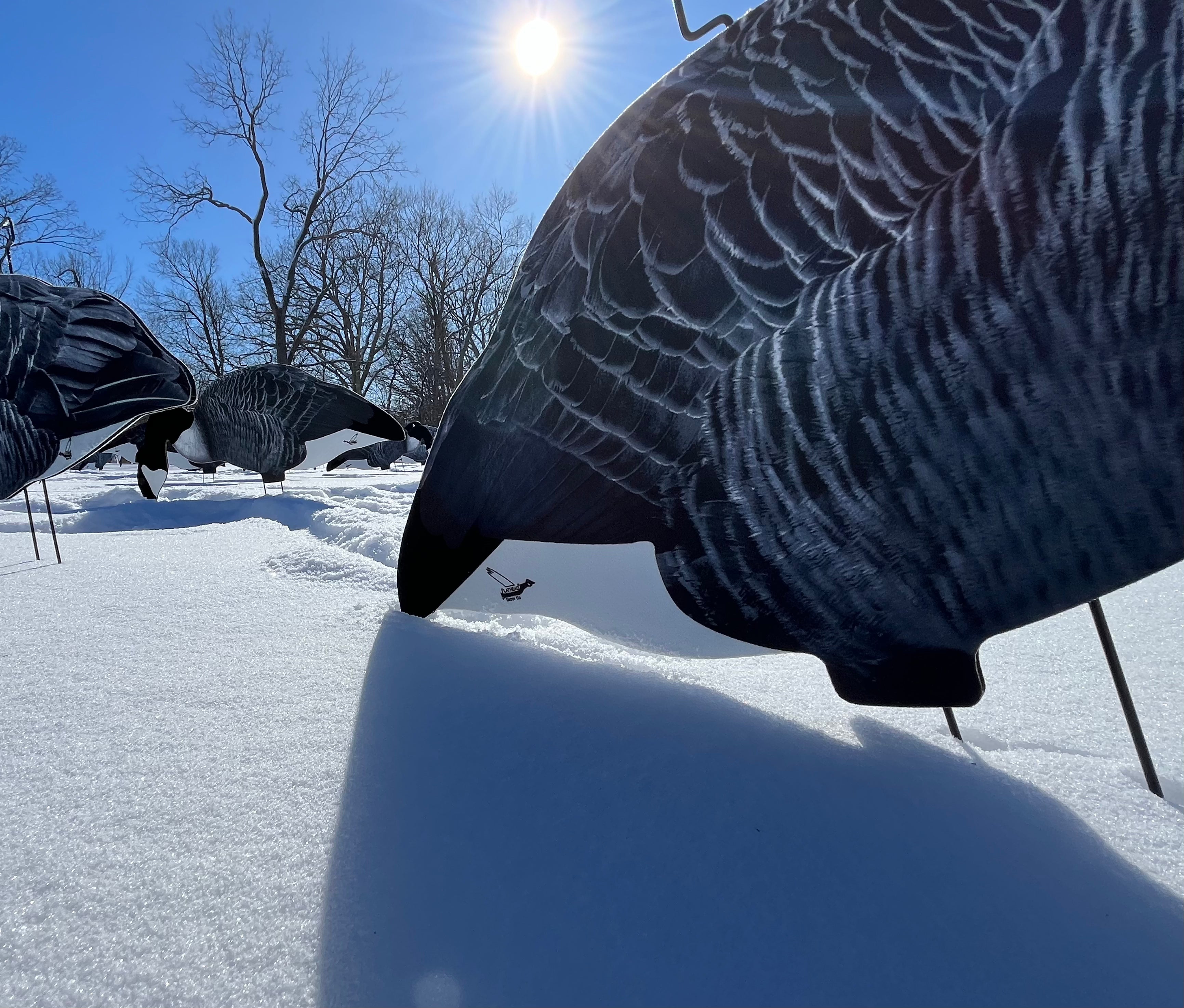 Fully Flocked Canada Goose Silhouette Decoys - "Per Dozen"