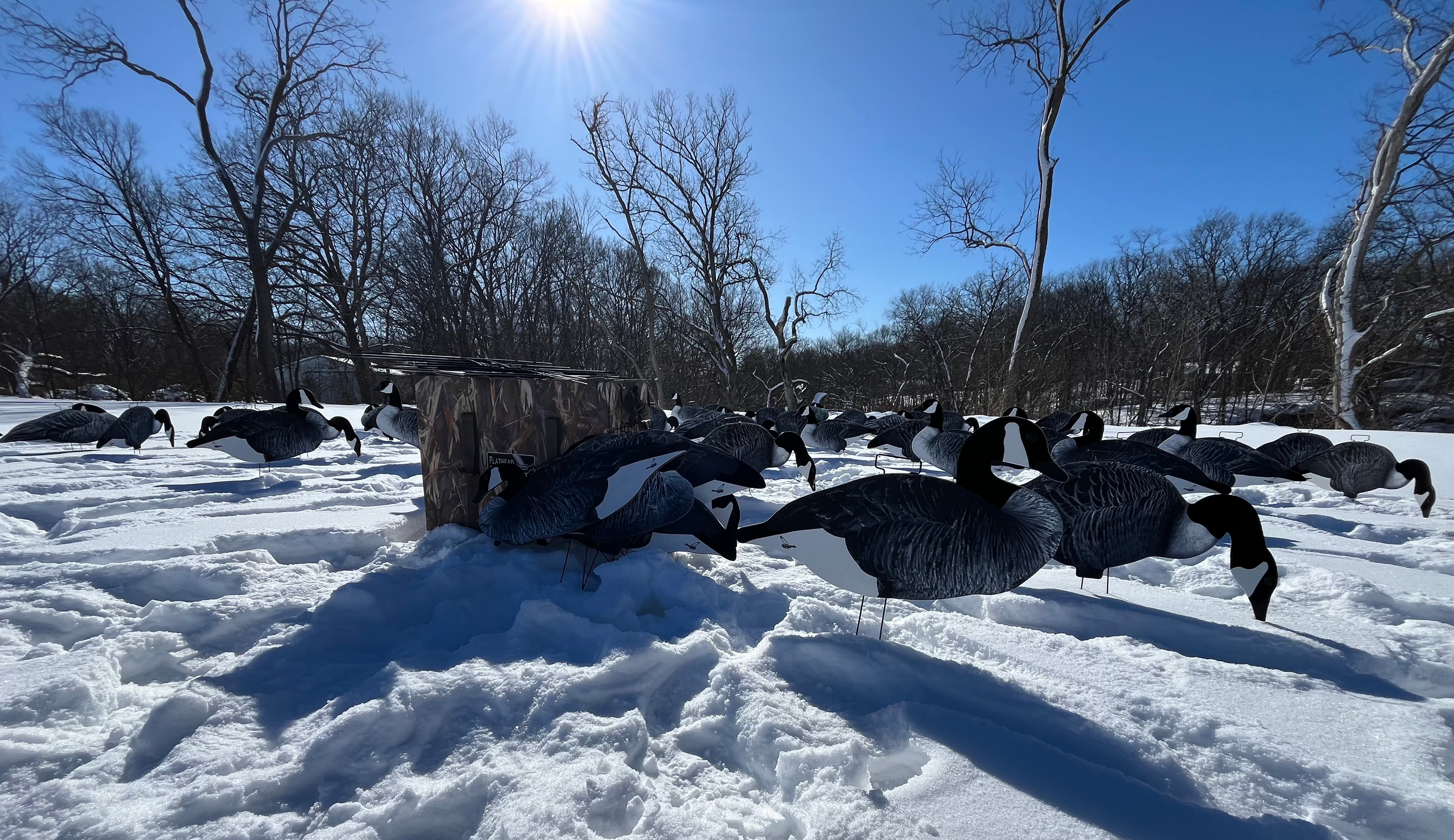 Fully Flocked Canada Goose Silhouette Decoys - "Per Dozen"