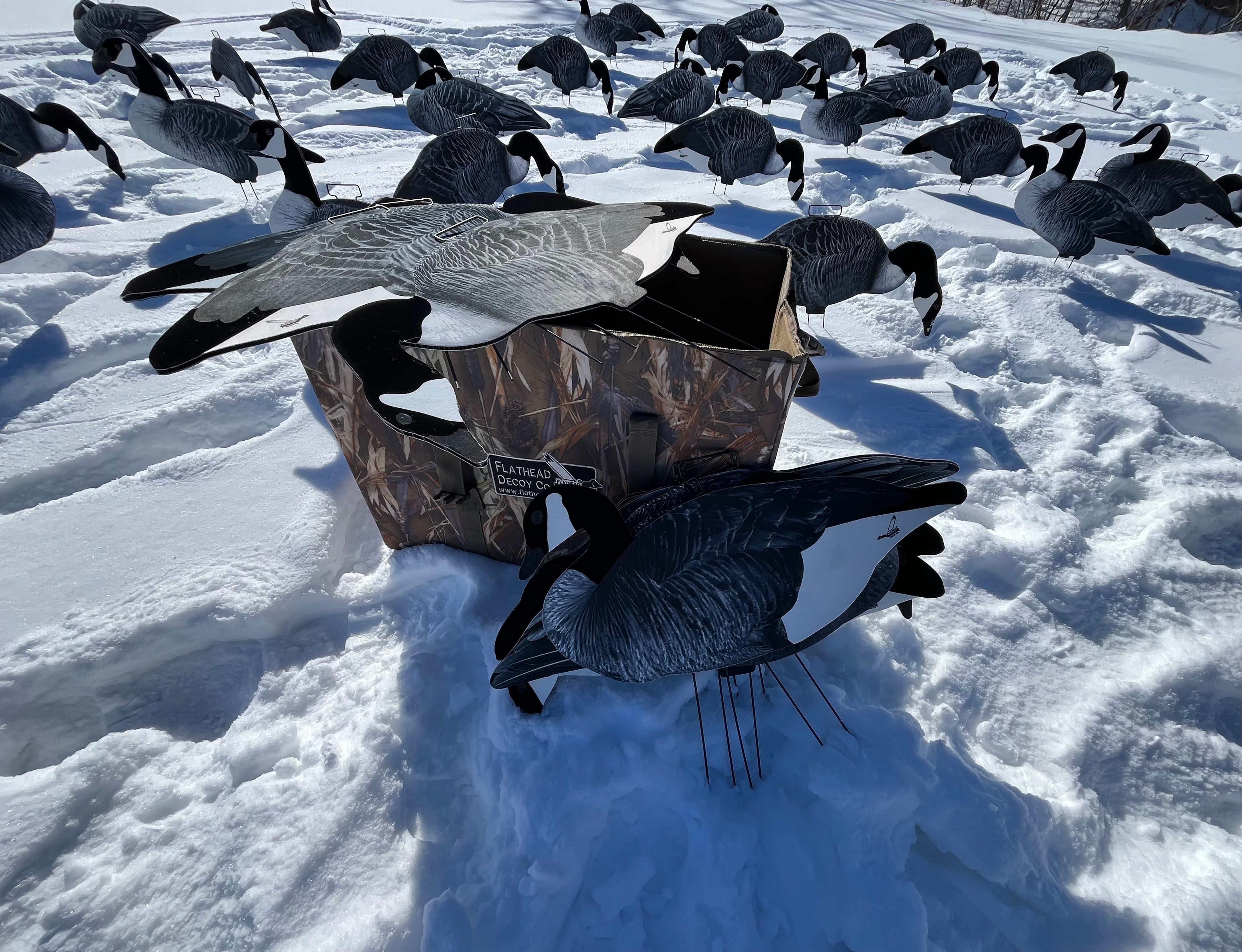 Fully Flocked Canada Goose Silhouette Decoys - "Per Dozen"