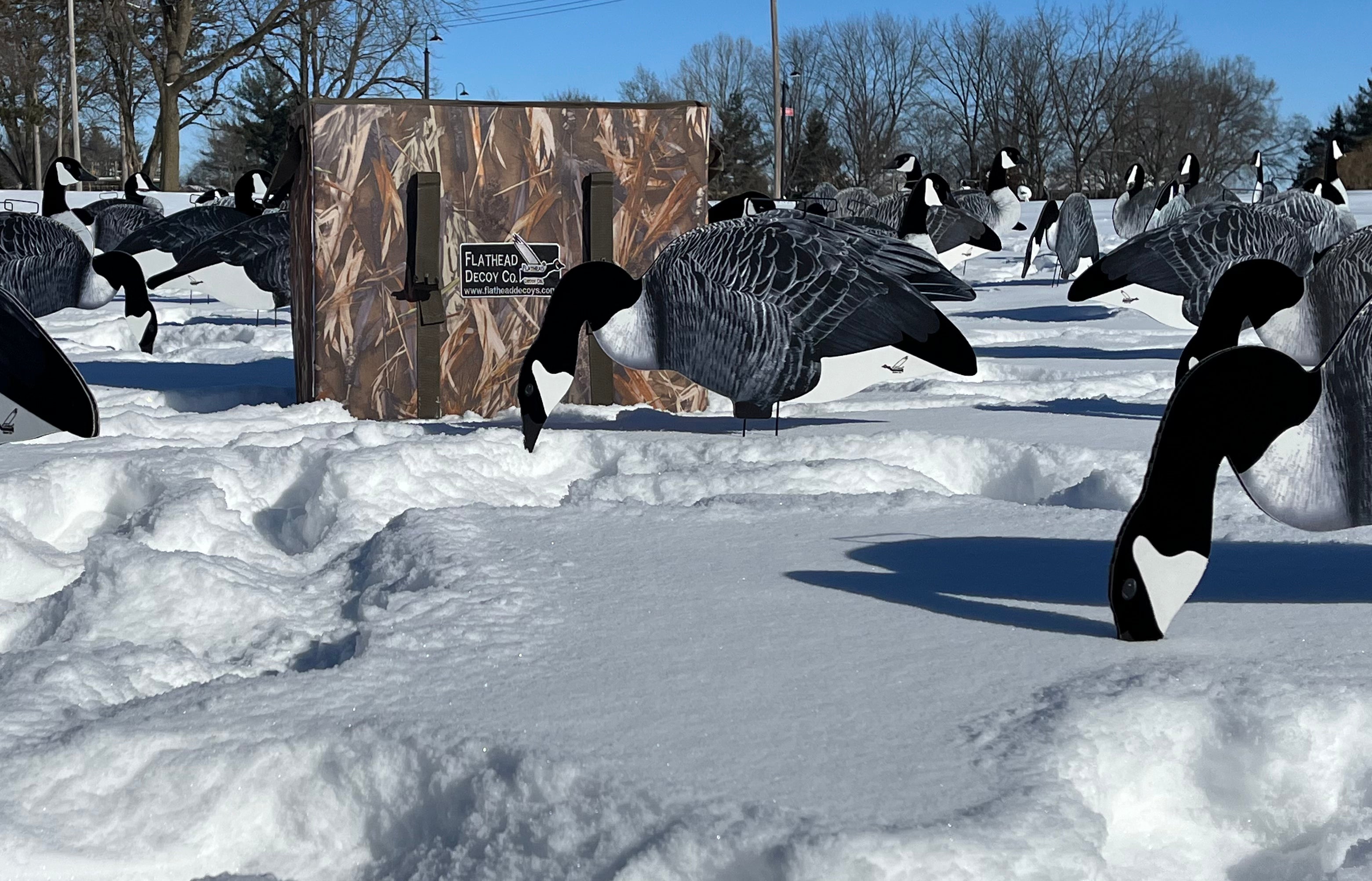 Fully Flocked Canada Goose Silhouette Decoys - "Per Dozen"