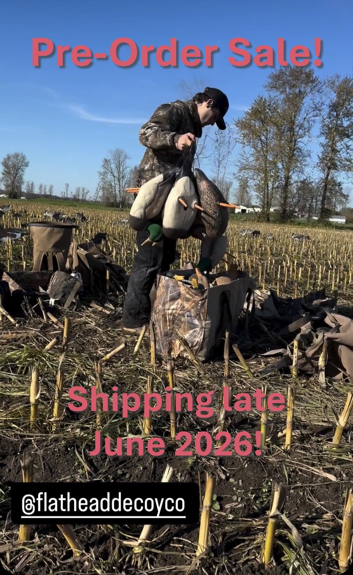 * PRE-ORDER SALE * "MAGNUM" Full Body Field Mallard Duck Decoys “PE Plastic” (hard body) FLOCKED HEADS ON DRAKES