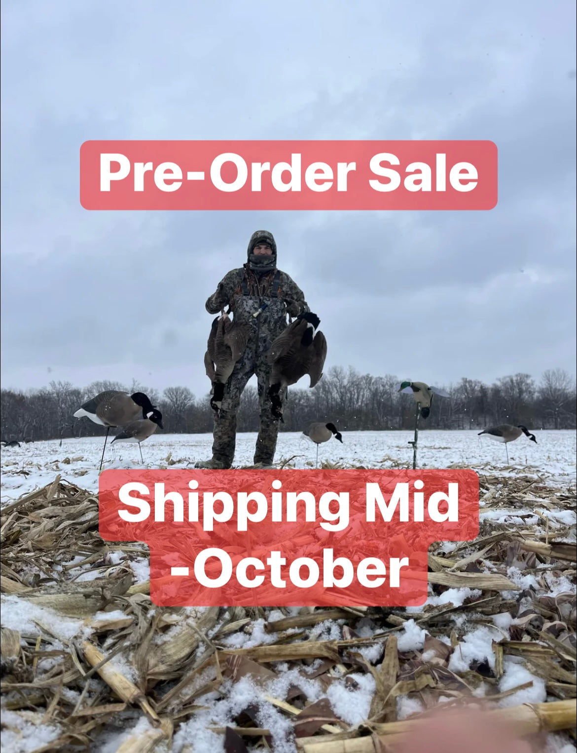 * Pre-Order Sale * Full Body "Magnum" Canada Goose Decoys "PE Plastic" with Flocked Heads. - "Per 6-Pack"