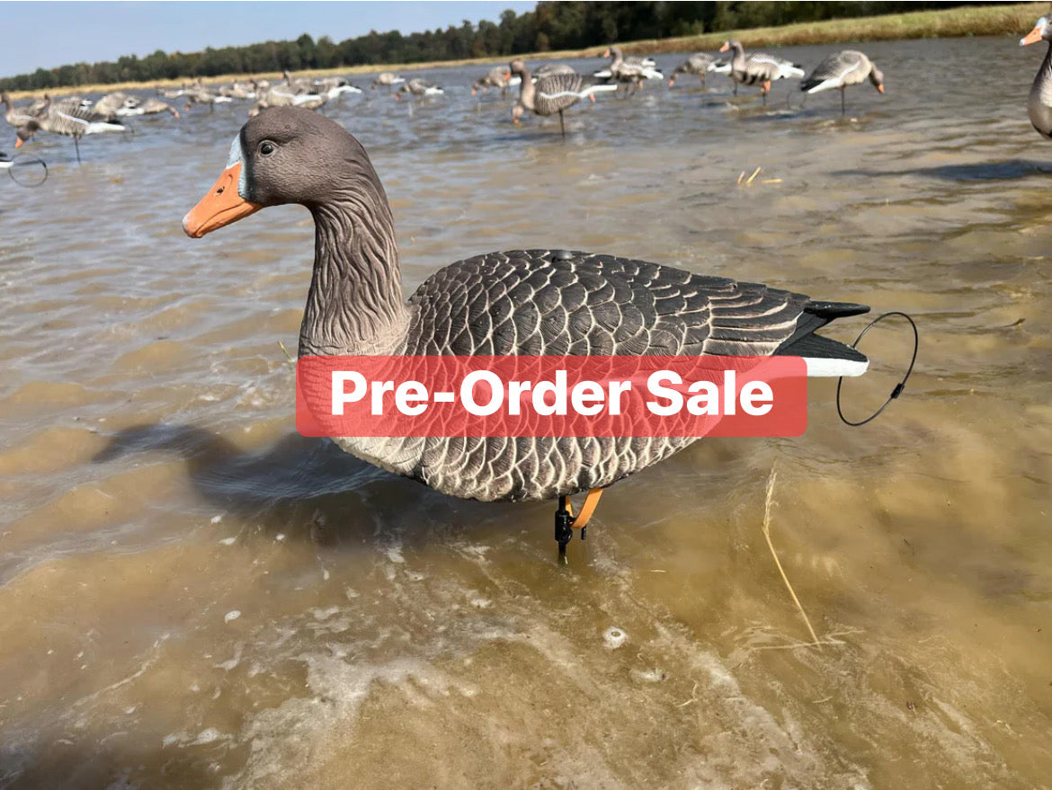 *** PRE-ORDER SALE *** Full Body Specklebelly Goose Decoys "EVA Plastic" (flexible body) - "Per Dozen"