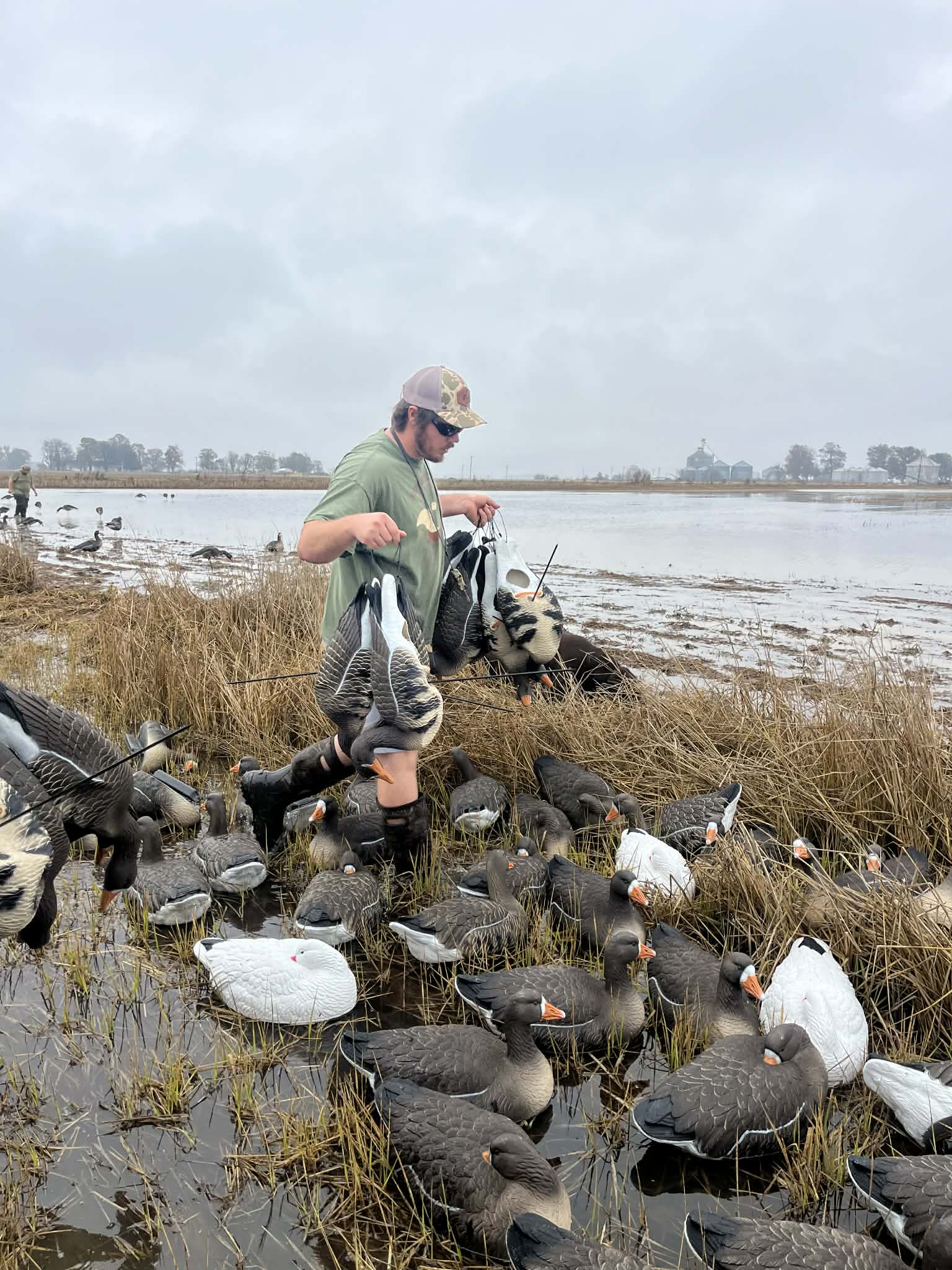 Full Body Specklebelly Goose Decoys "EVA Plastic" (flexible body) - "Per Dozen"