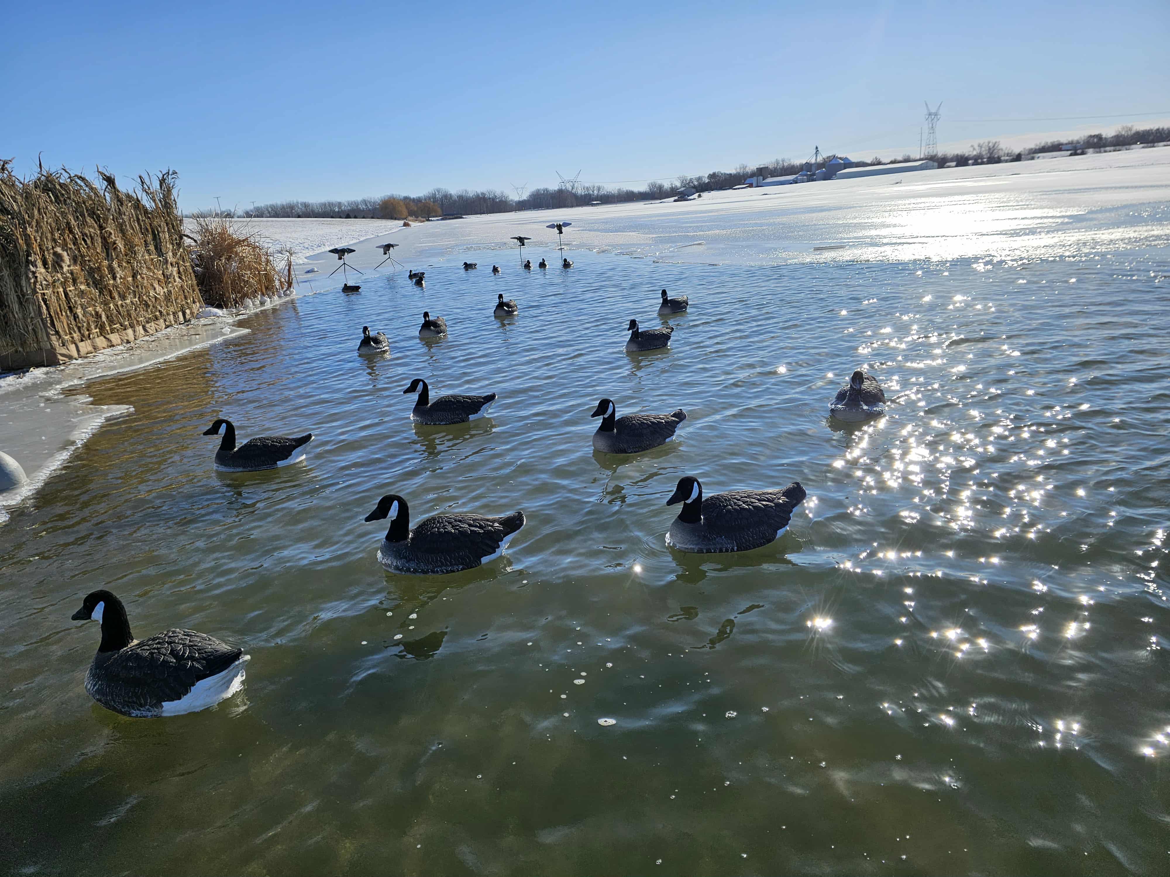 Canada Goose Floater Decoys with Flocked Heads  "PE Plastic" (hard body) "Per 6-Pack"