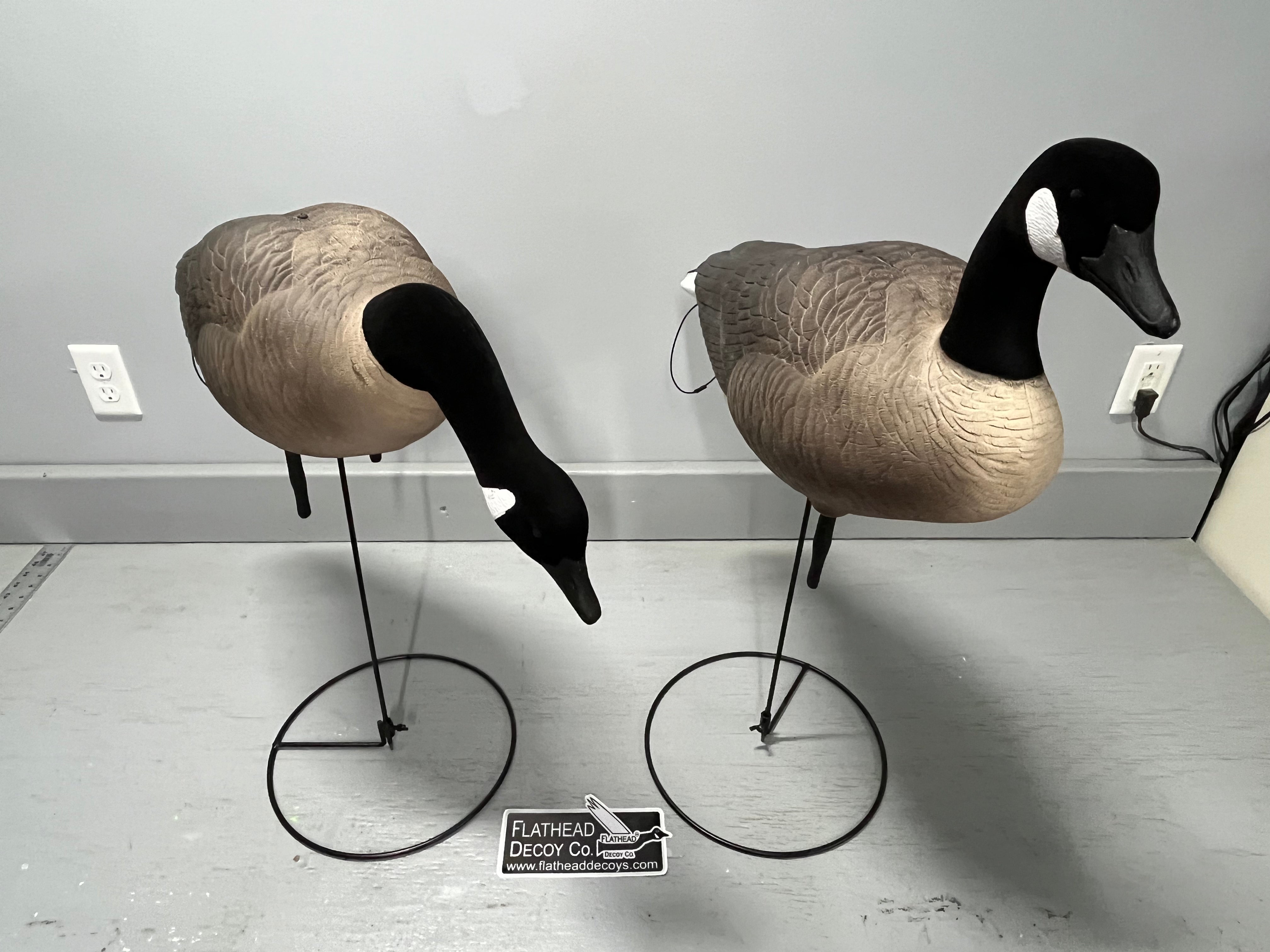 “PRE-ORDER SALE” Full Body "Magnum" Canada Goose Decoys "PE Plastic" (hard body) with Flocked Heads and Ring Bases - "Per 6-Pack"