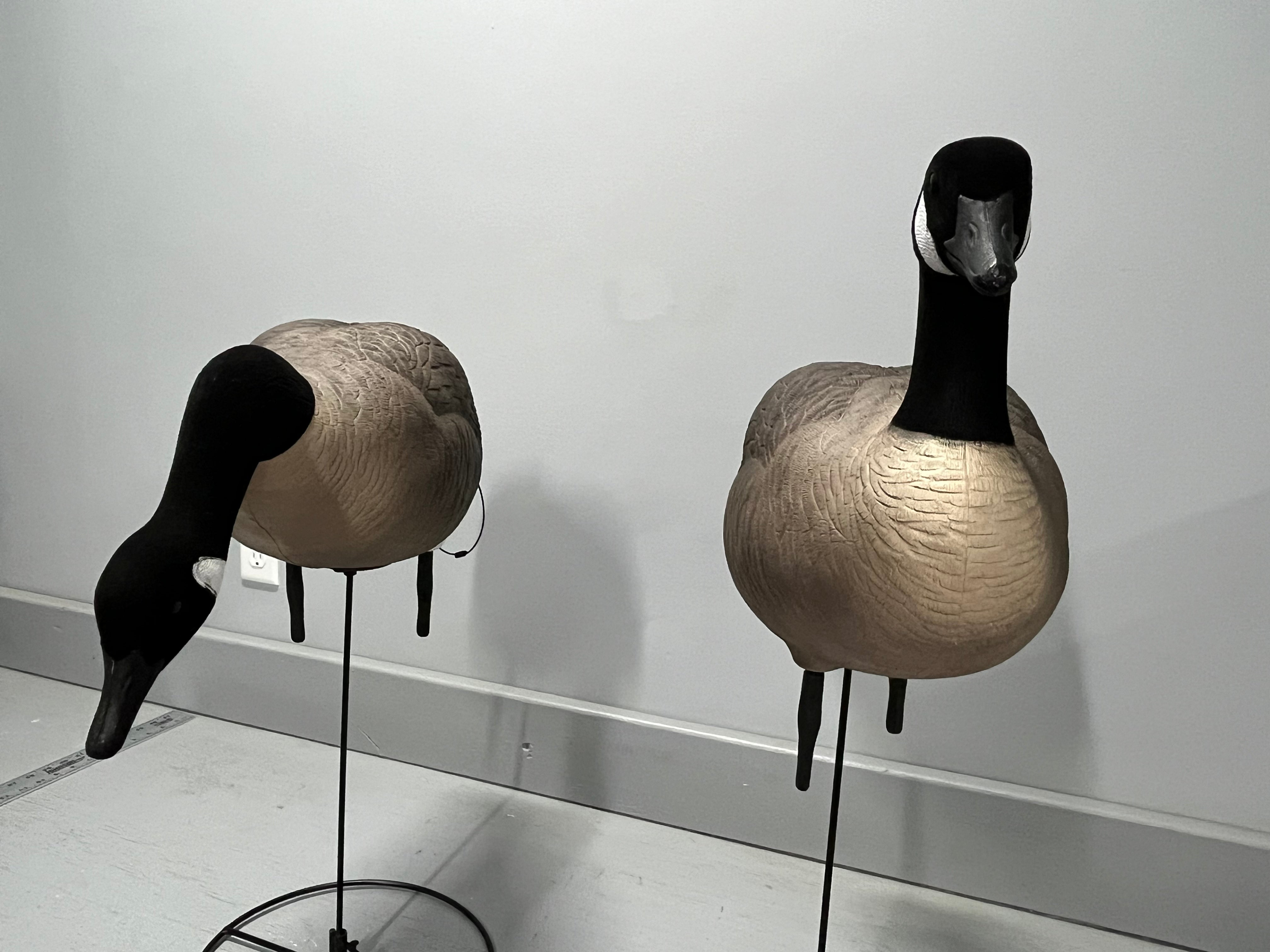 “PRE-ORDER SALE” Full Body "Magnum" Canada Goose Decoys "PE Plastic" (hard body) with Flocked Heads and Ring Bases - "Per 6-Pack"