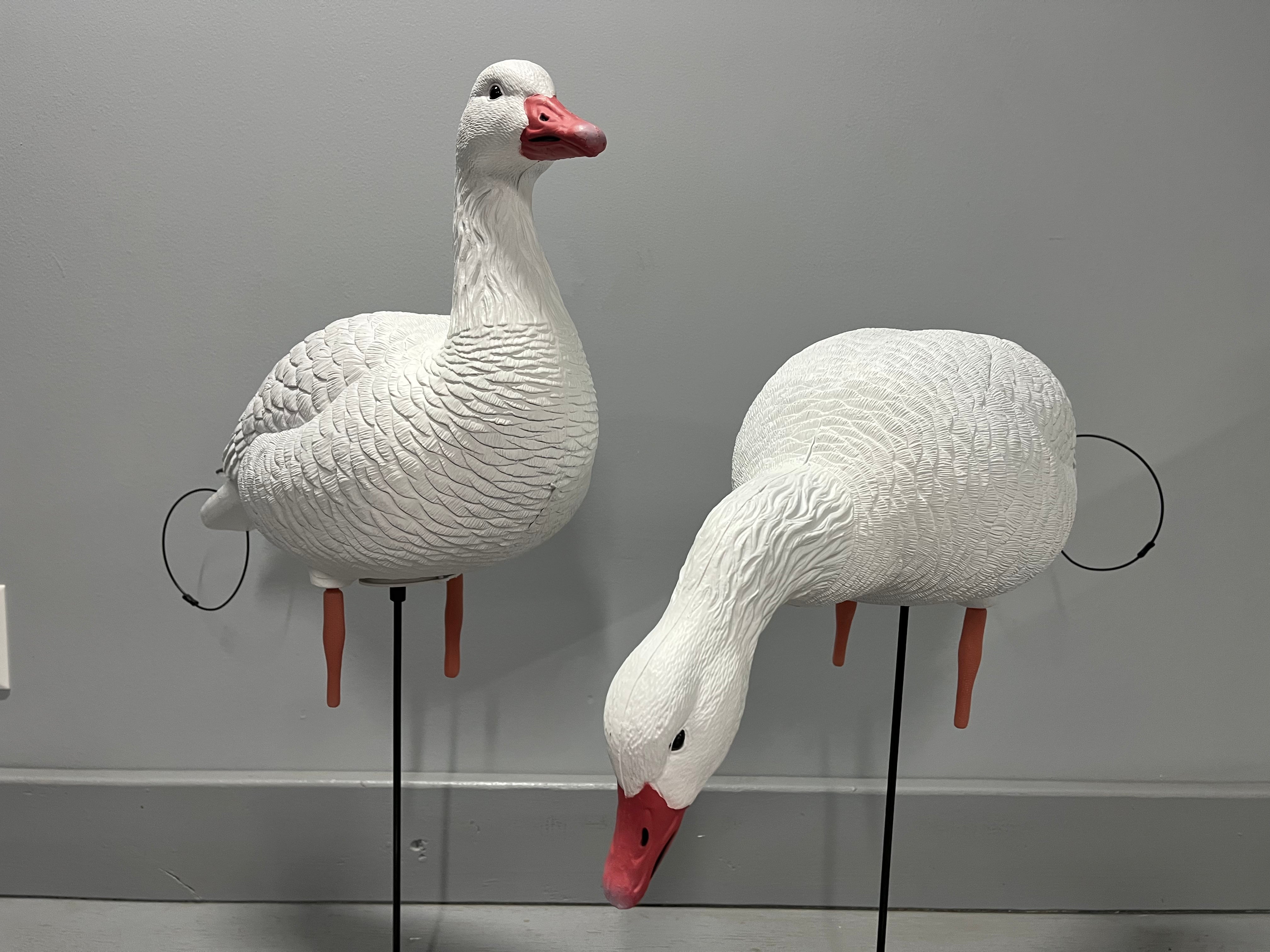 “PRE-ORDER SALE” Full Body Snow Goose Decoys "PE Plastic" (hard body) - “Per 6-Pack”