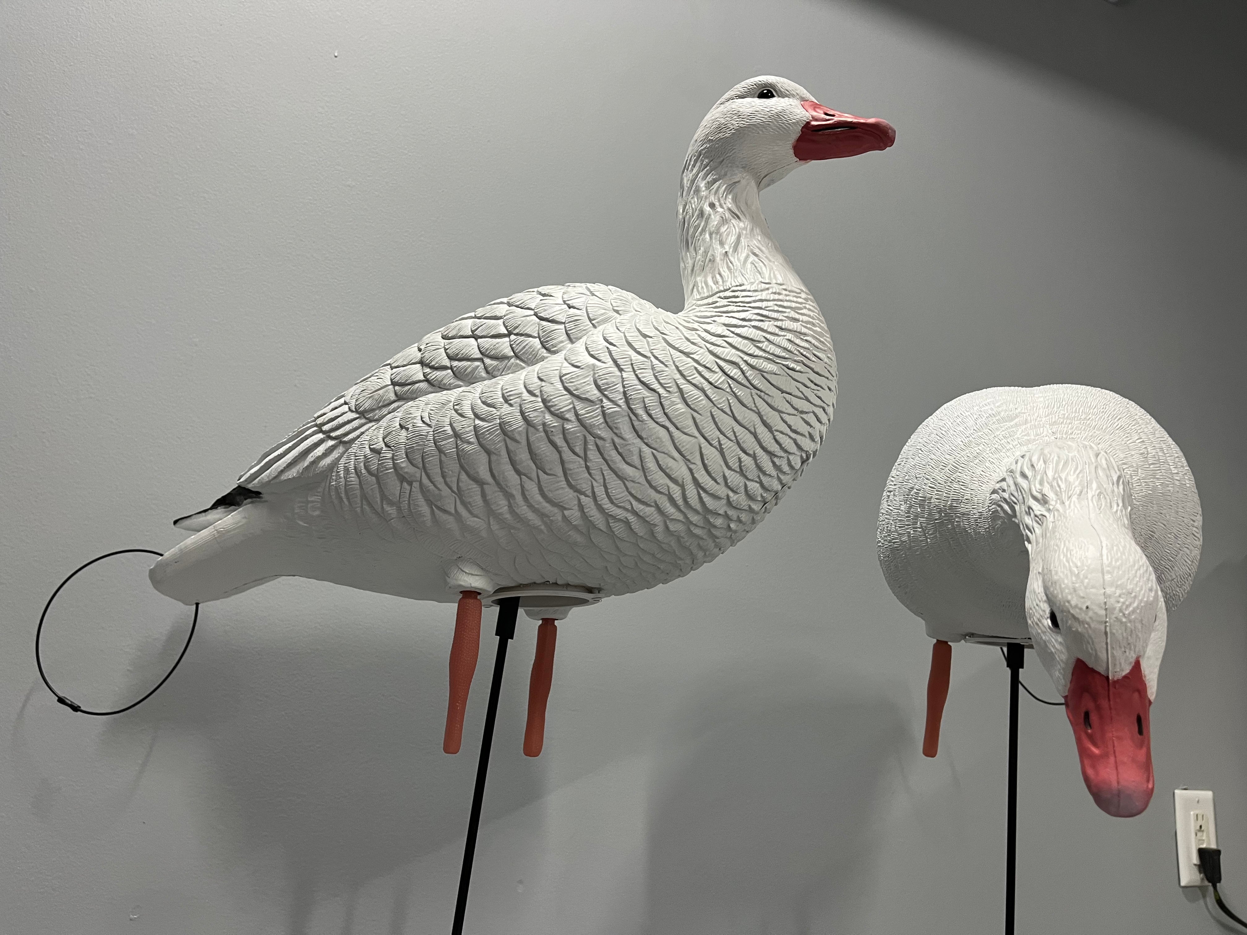 “PRE-ORDER SALE” Full Body Snow Goose Decoys "PE PLASTIC" (hard body) with Ring Bases - "Per 6-Pack"