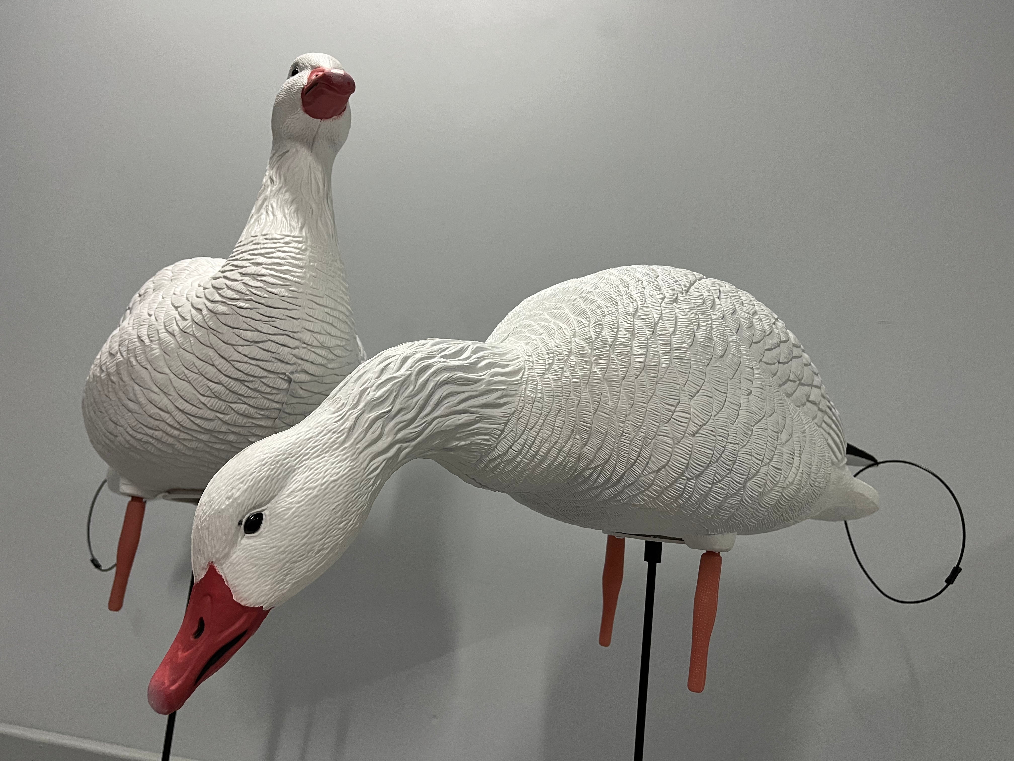 “PRE-ORDER SALE” Full Body Snow Goose Decoys "PE Plastic" (hard body) - “Per 6-Pack”