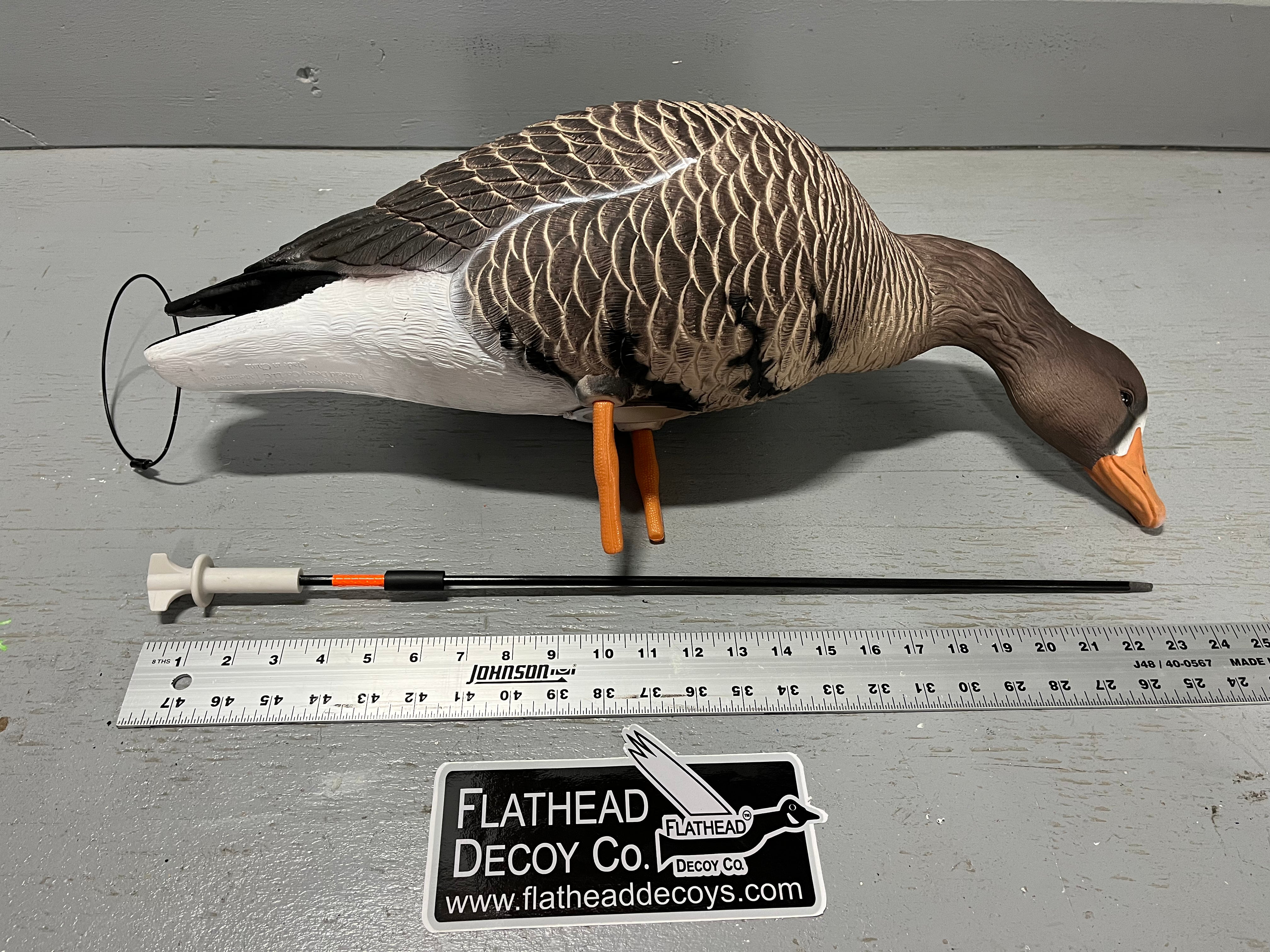 “PRE-ORDER SALE” Full Body Specklebelly Goose Decoys "PE PLASTIC" with Ring Bases - "Per 6-Pack"