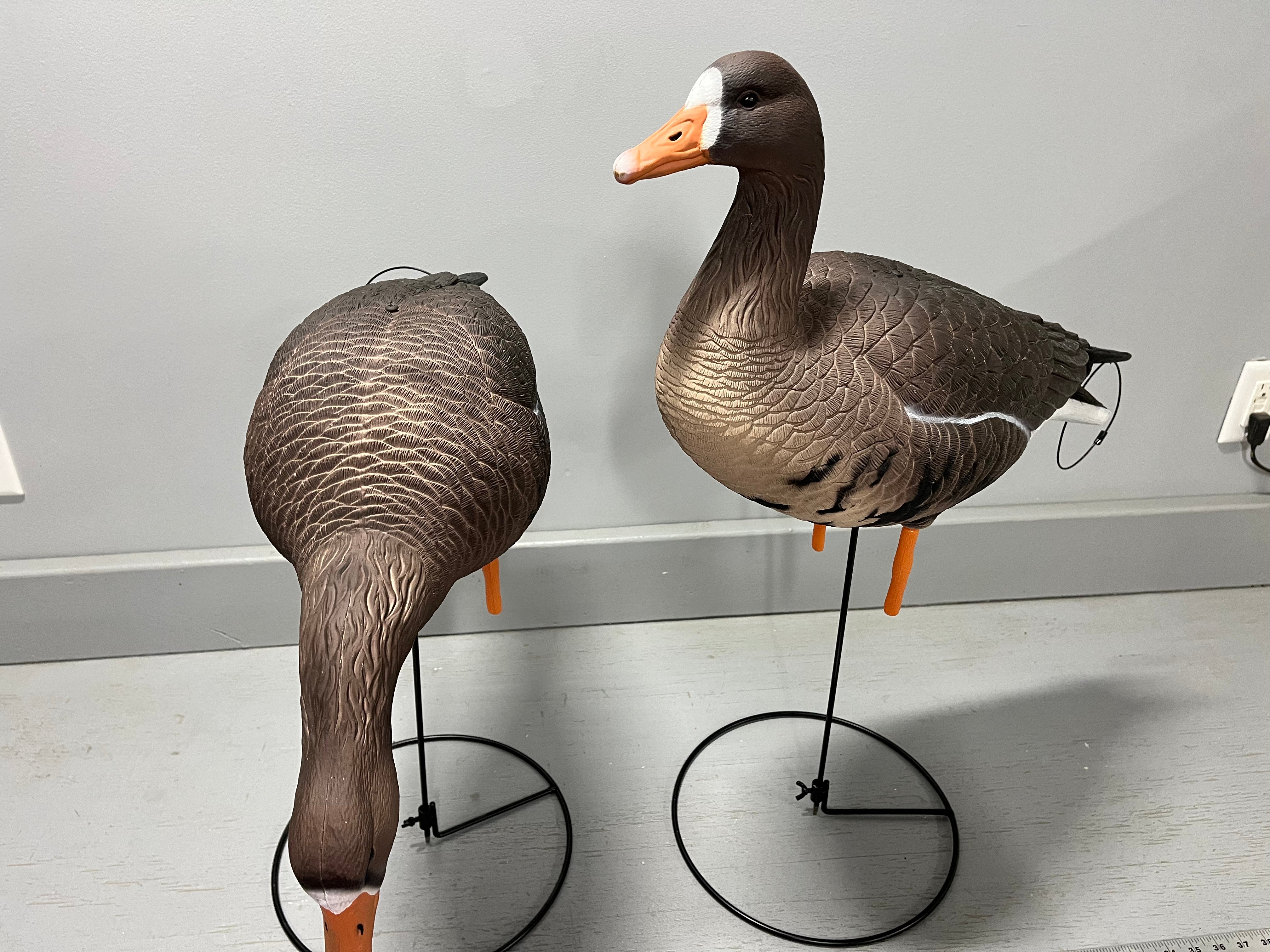 “PRE-ORDER SALE” Full Body Specklebelly Goose Decoys "PE PLASTIC" with Ring Bases - "Per 6-Pack"