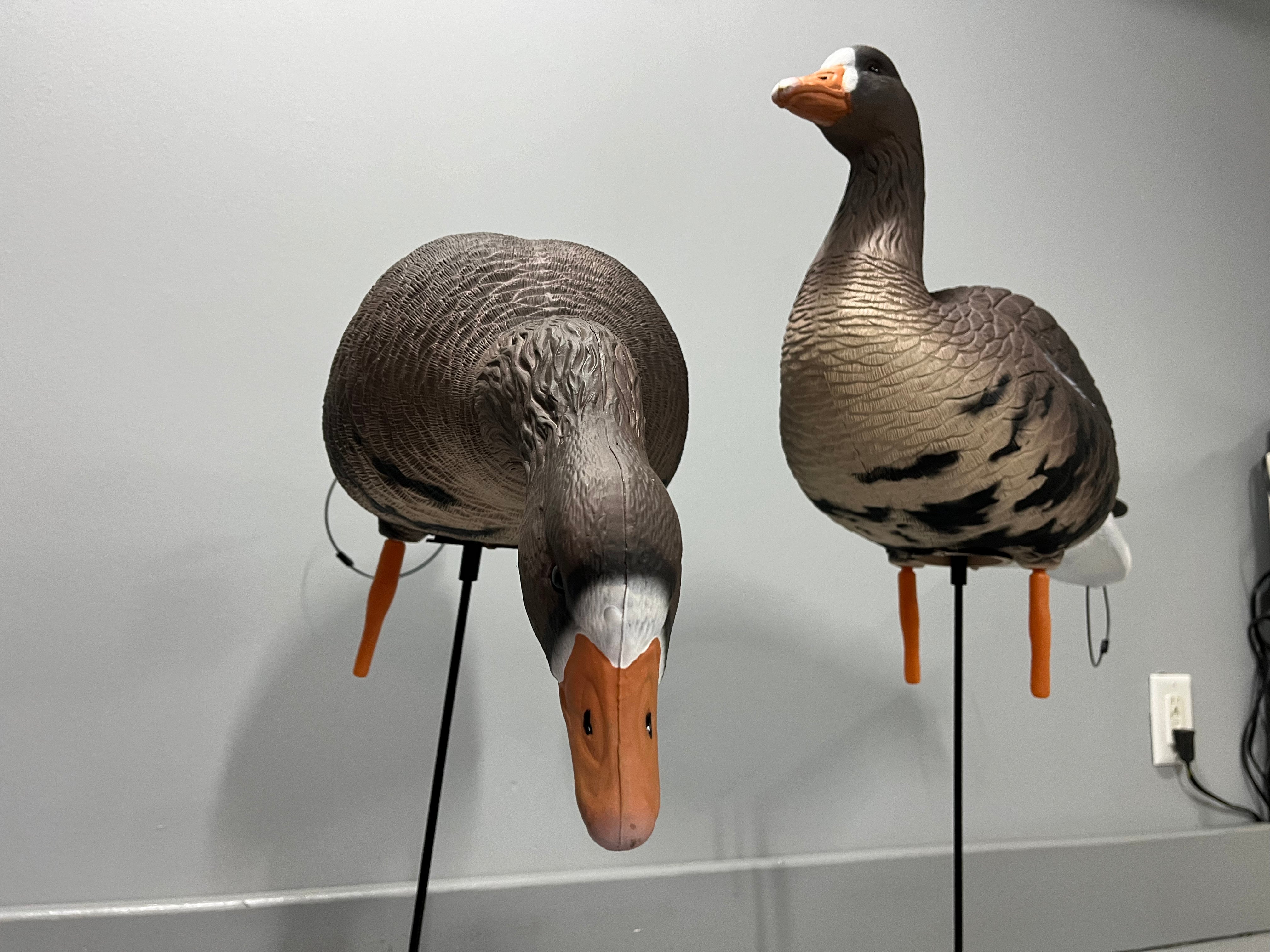 “PRE-ORDER SALE” Full Body Specklebelly Goose Decoys "PE PLASTIC" with Ring Bases - "Per 6-Pack"