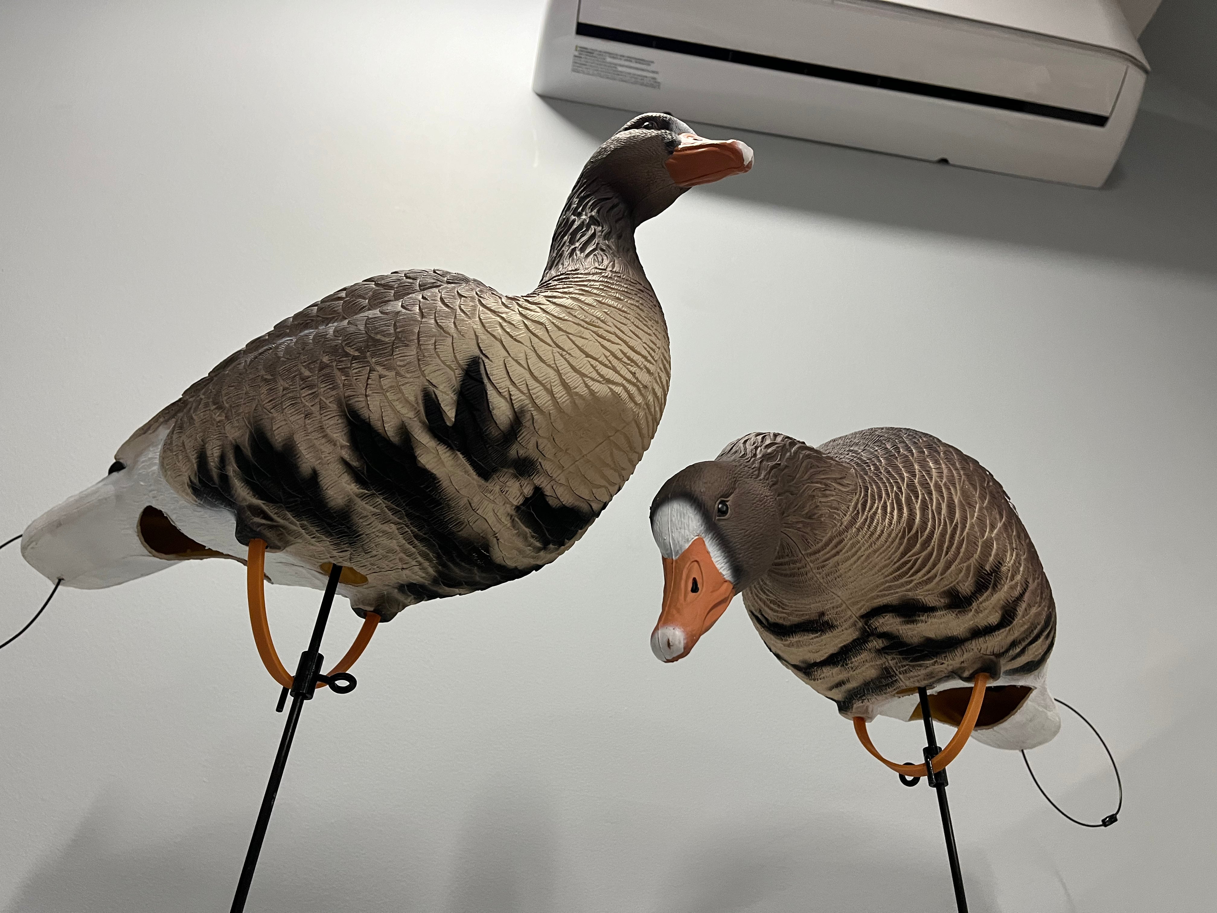 “PRE-ORDER SALE” Full Body Specklebelly Goose Decoys "EVA Plastic" (flexible body) - "Per Dozen"