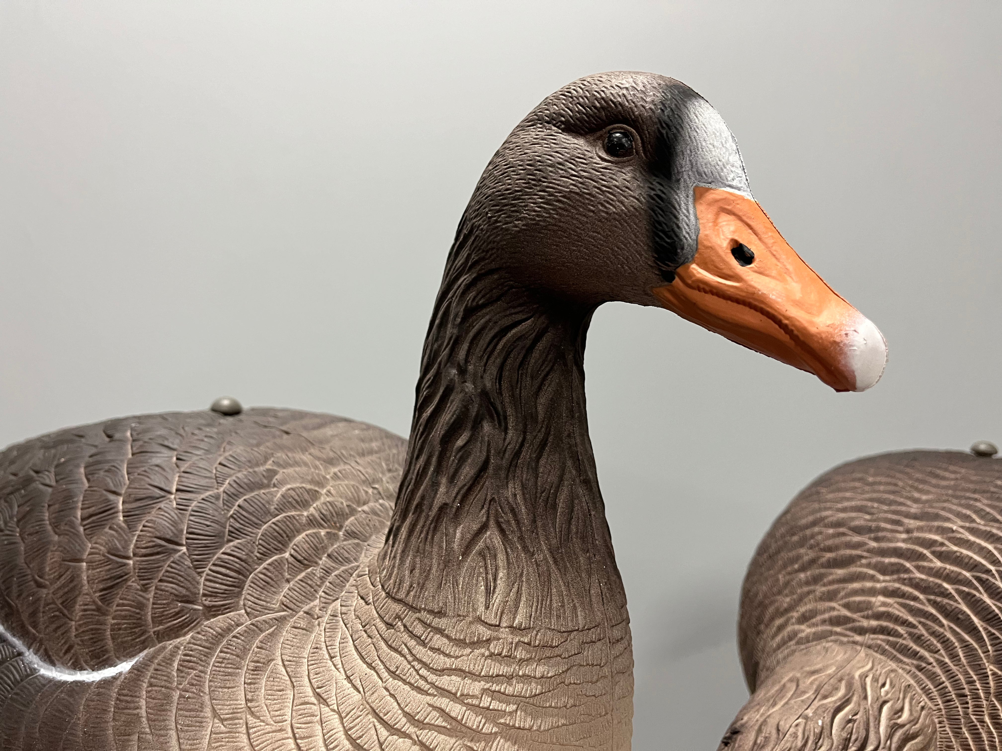 “PRE-ORDER SALE” Full Body Specklebelly Goose Decoys "EVA Plastic" (flexible body) - "Per Dozen"