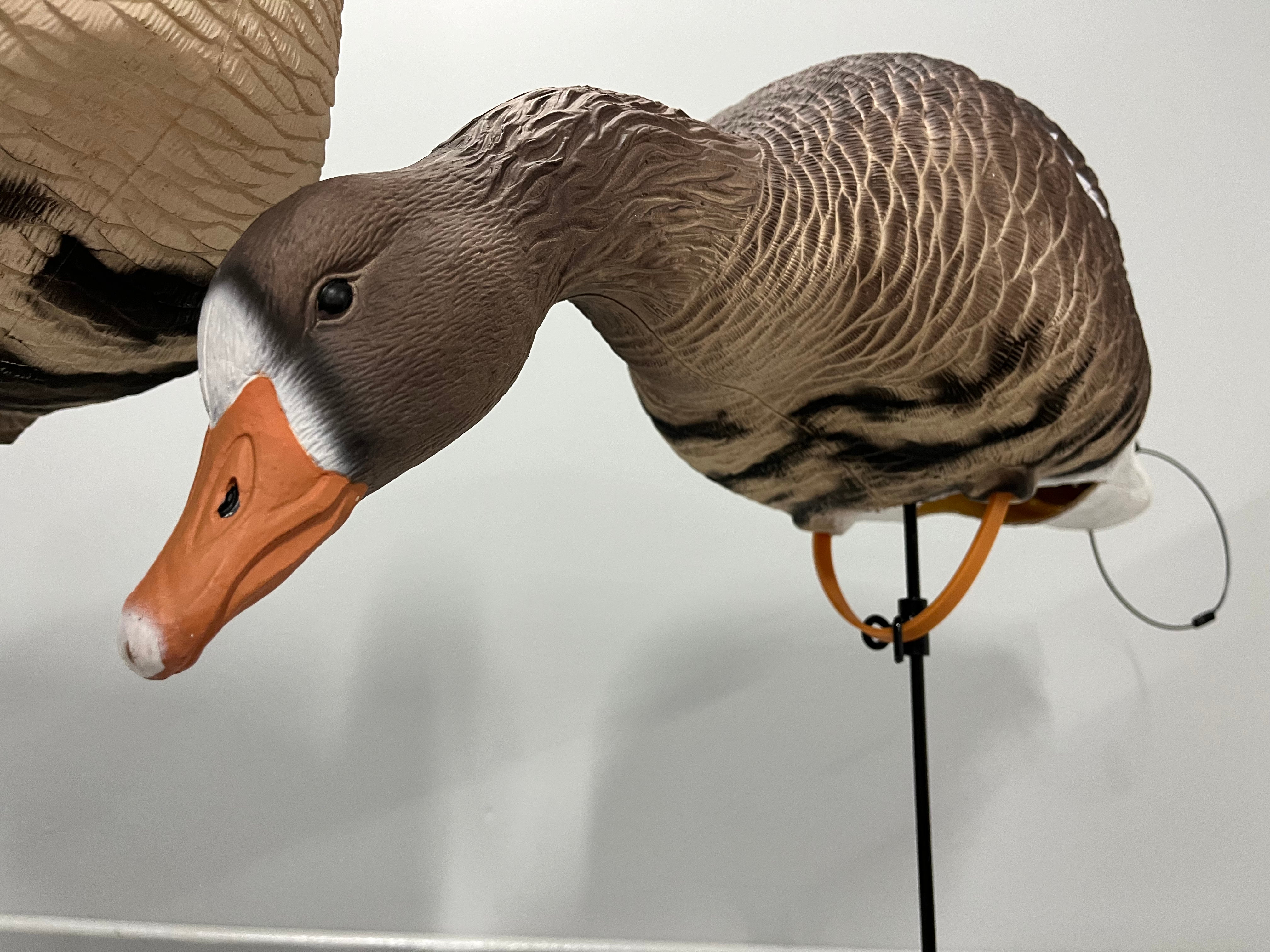 “PRE-ORDER SALE” Full Body Specklebelly Goose Decoys "EVA Plastic" (flexible body) - "Per Dozen"