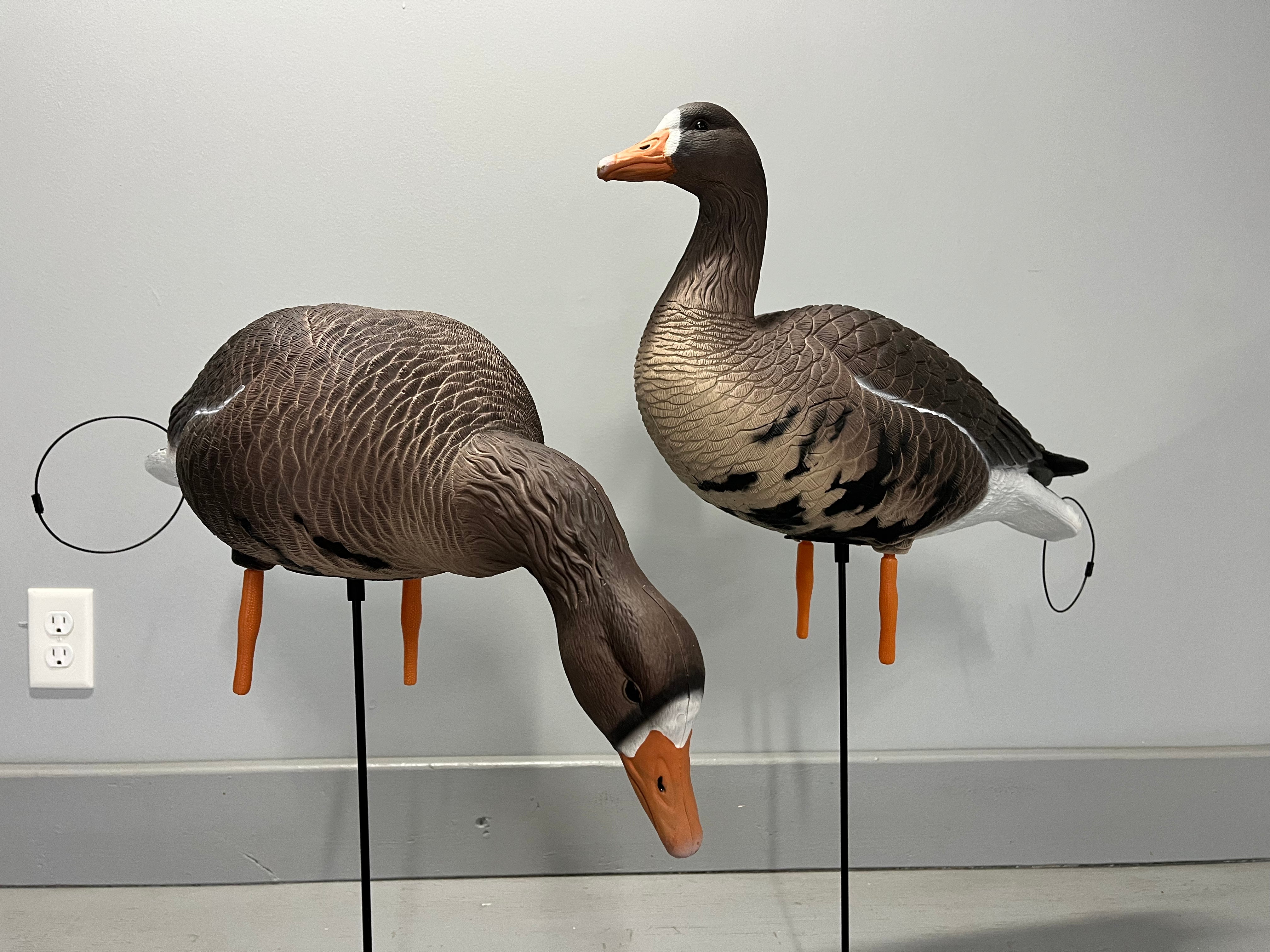 “PRE-ORDER SALE” Full Body Specklebelly Goose Decoys "PE Plastic" (hard body) “Per 6-Pack"