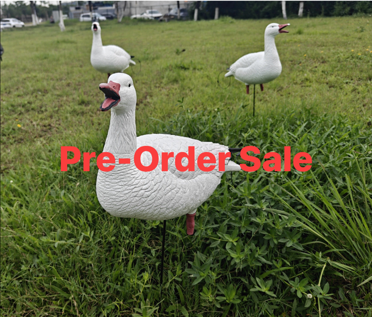 *PRE-ORDER SALE* Full Body "Open Mouth" Snow Goose Decoys "PE Plastic" (hard body) - "Per 4-Pack"