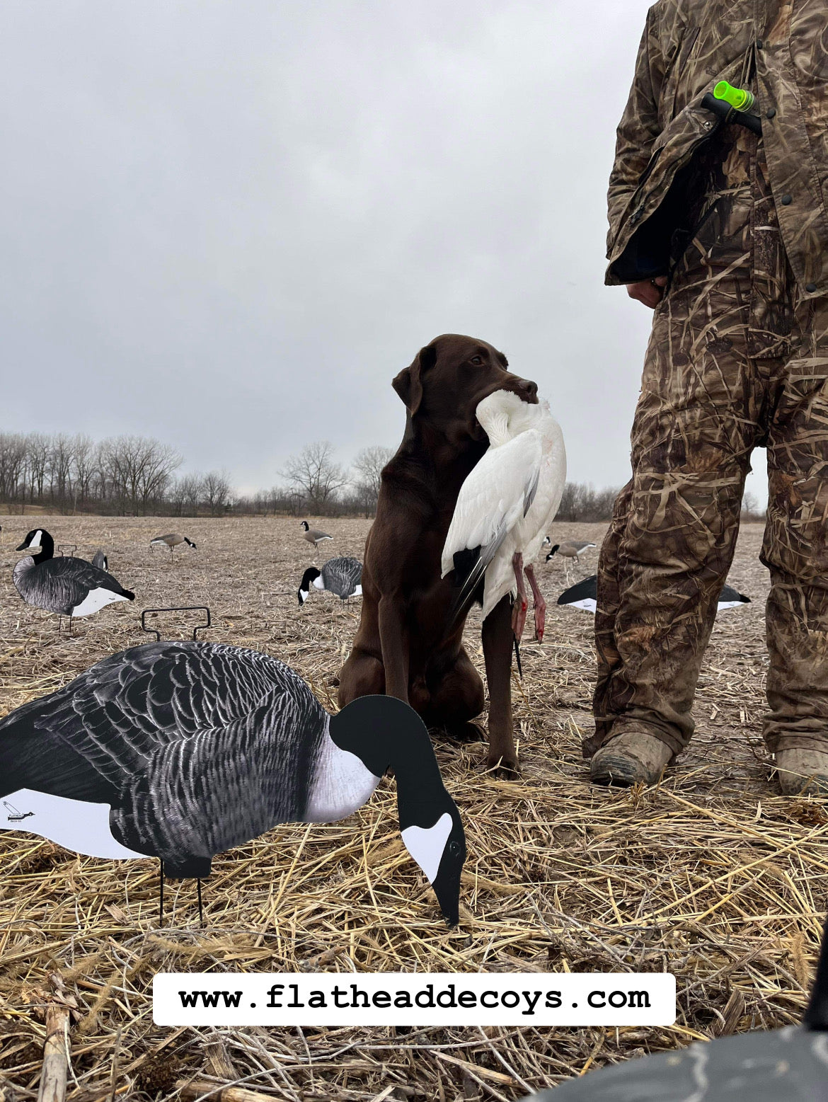 Canada Goose Silhouette Decoys - "Per Dozen"