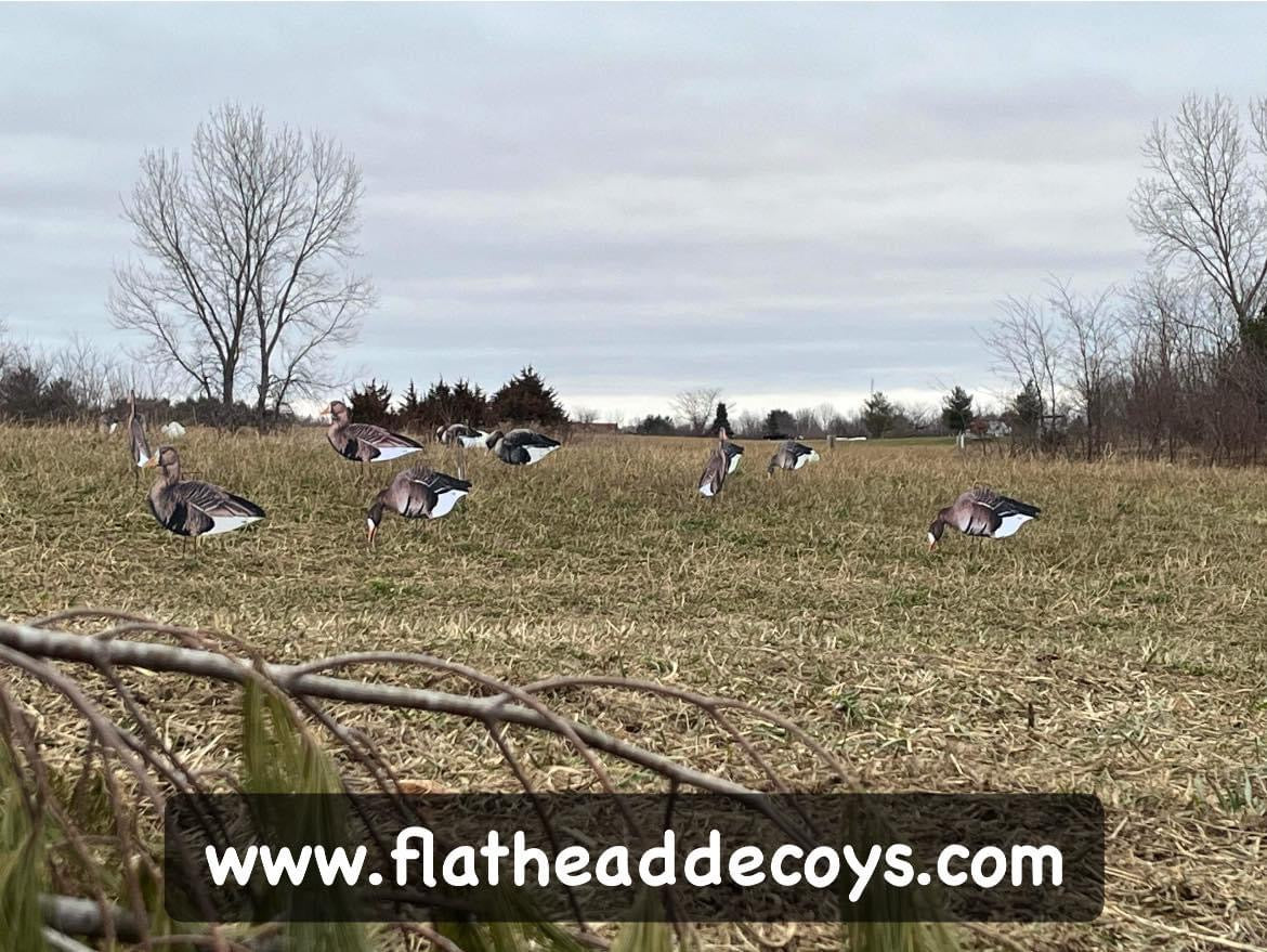 Specklebelly Goose Silhouette Decoys - "Per Dozen"