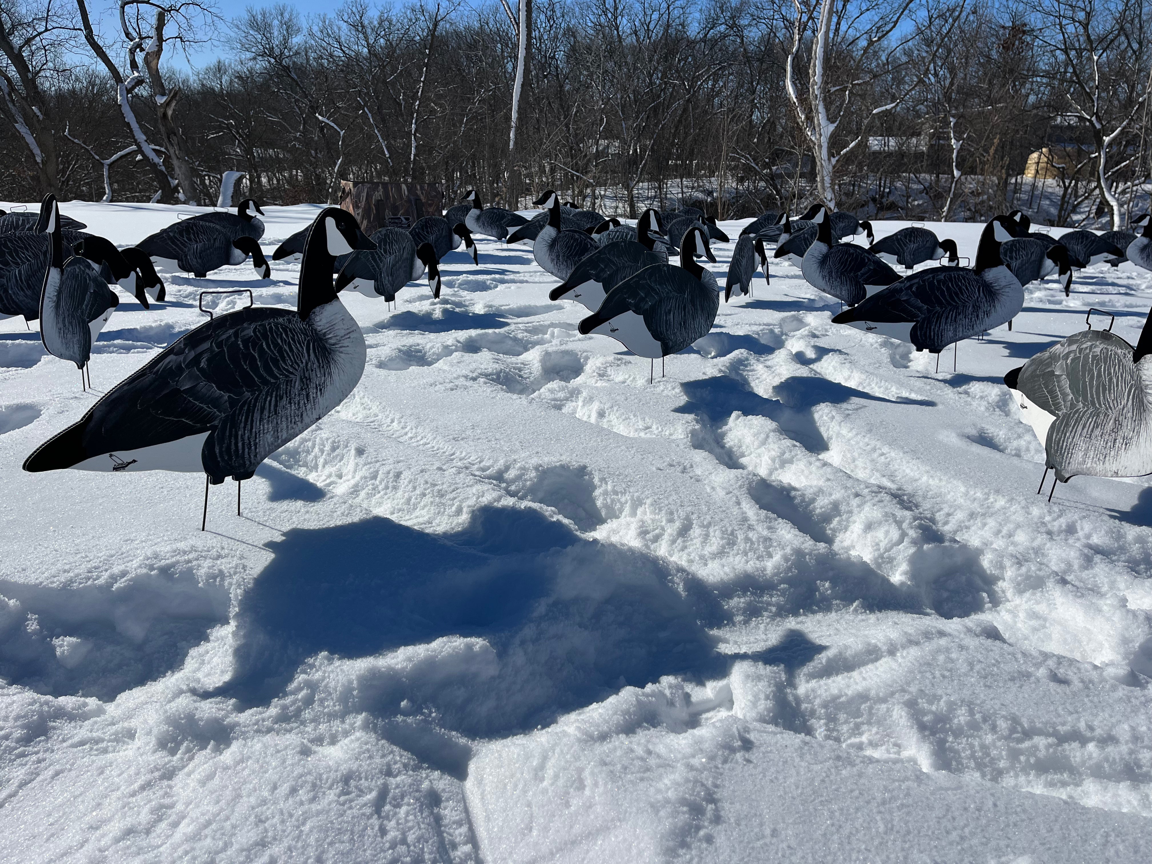 Fully Flocked Canada Goose Silhouette Decoys - "Per Dozen"