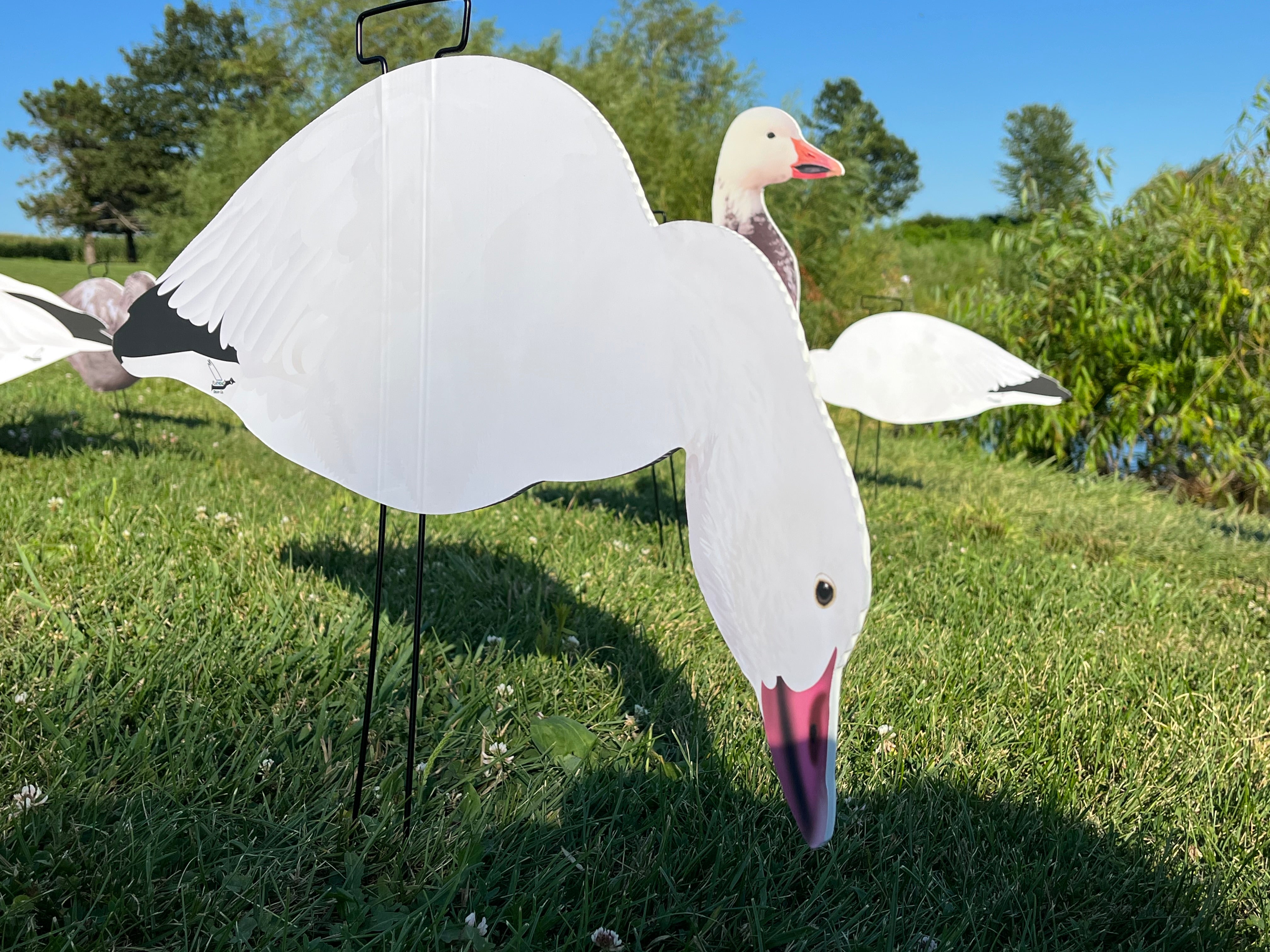 "BULK" Snow Goose Silhouette Decoys - (9) Dozen