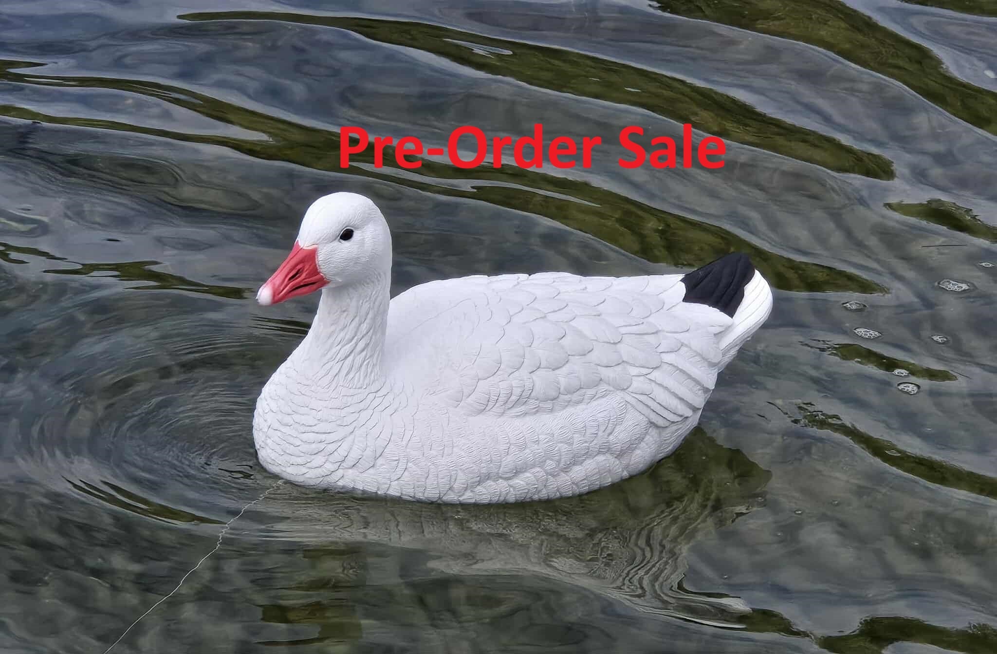 "Pre-Order Sale" PE Snow Goose Floater Decoys "Per 6-Pack"