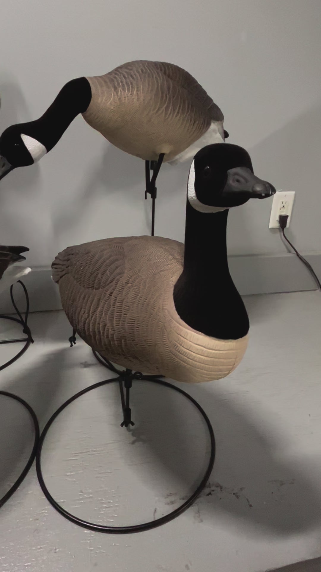 Full Body Canada Goose Decoys "PE PLASTIC" with Ring Bases "Per 6Pa
