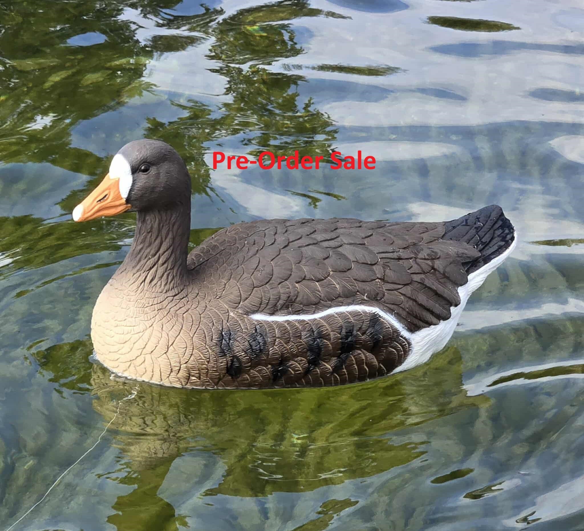 "Pre-Order Sale" PE Specklebelly Goose Floater Decoys "Per 6-Pack"