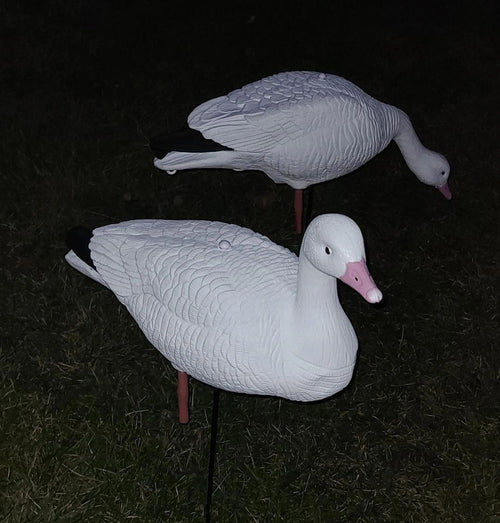 Full Body Snow Goose Decoys "EVA Plastic" (flexible body) - “Per Dozen